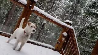 Ares feels the snowflake