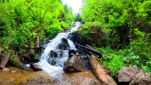 THE SINGING OF NATURE - MEDITATION -