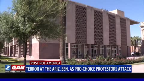 Terror at the Ariz. Senate as pro-choice protestors attack