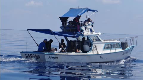 Florida: 24+ Cuban migrants intercepted in FL Keys