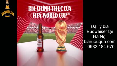 Bia Budweiser World Cup 100% trúng thưởng giá rẻ Hà Nội
