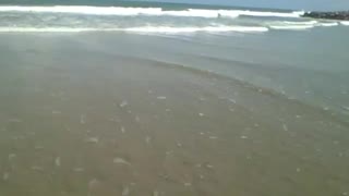 Filmando as lindas ondas do mar bem de perto, na beira da praia [Nature & Animals]