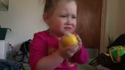Toddler tries a lemon