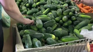 PREPPING FOR HOMEMADE PICKLES!