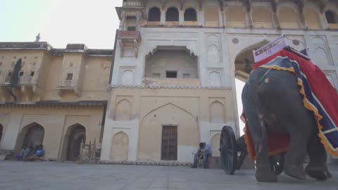 Amer Fort Jaipur Rajasthan India 06 Elephants