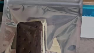 Freeze Dried Ice cream sandwich