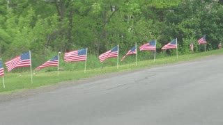 Memorial Day 2021 roadside flags