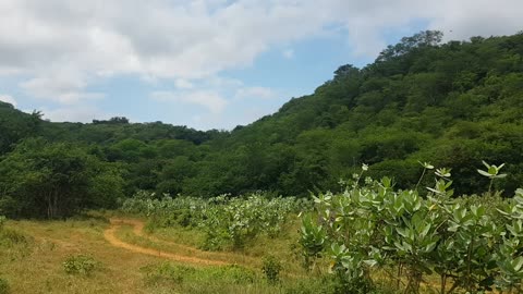 Zona de transição