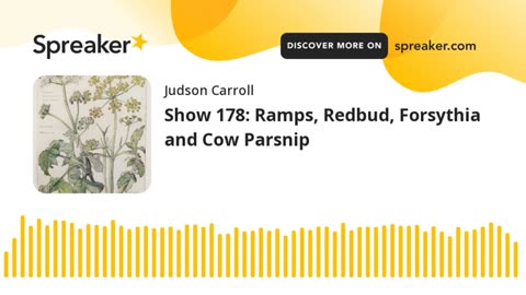 Show 178: Ramps, Redbud, Forsythia and Cow Parsnip