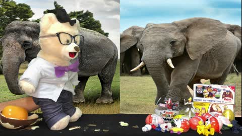 Learn about Elephants with Chumsky | GIANT Disney Princess Kinder Egg Open | STEM Videos 4 Kids