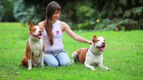 Woman strokes her dogs on the grass