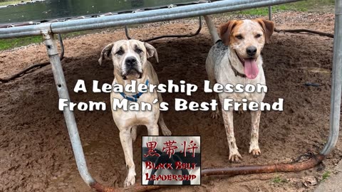 A Leadership Lesson from Man's Best Friend