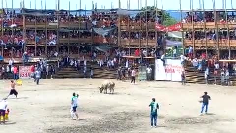 The collapse of the stands with spectators in a bullfighting accident!