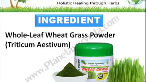 Wheatgrass Powder - Benefits & Side Effects