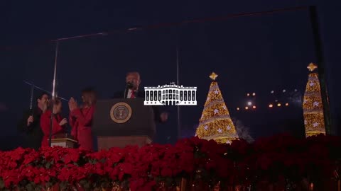 2017 National Christmas Tree Lighting