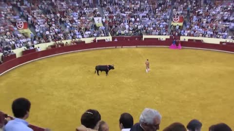 BULLFIGHTING FULL FESTIVAL VIDEO CLIP