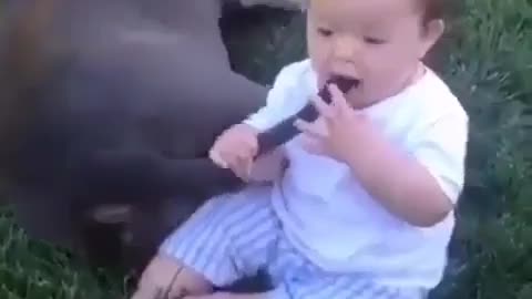 Baby🤣kicked by dog
