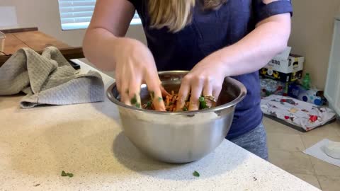 Healthy Homemade Dog Food Recipe Vet Approved