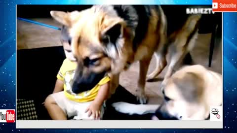 Dogs playing with Owners Baby Play & Eat Together || Viral2k21