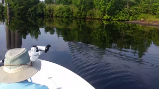 Little Gator at Four Mile Creek Ramp