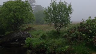 River on a misty day.