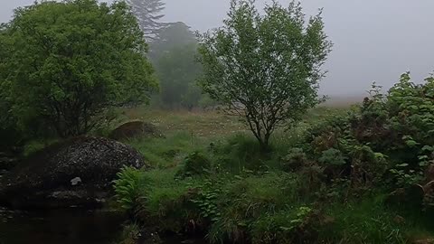 River on a misty day.