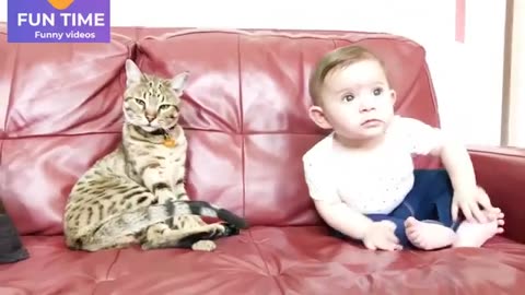 Little baby and cat video