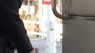 Man lets pigeon out of subway car
