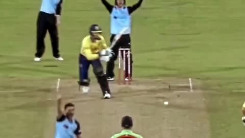 Funny Cricket Video