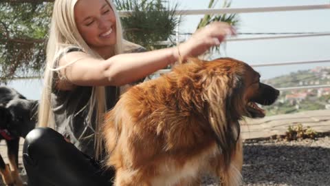 Girl smiling and petting dogs