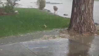 Fence Floats by in Flood