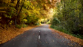 Fall in the Country