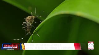 Halaga ng claims para sa leptospirosis at dengue, umabot na sa P700-M at P100-M ayon sa PhilHealth