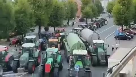 Boeren Protest Hoogstraten Belgie -Boeren bezetten overheids gebouw