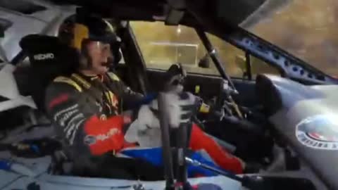 A race car driver