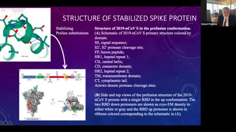 Dr Robert Malone - Fundamentals and Mechanisms of Action of Covid-19 Genetic Vaccines