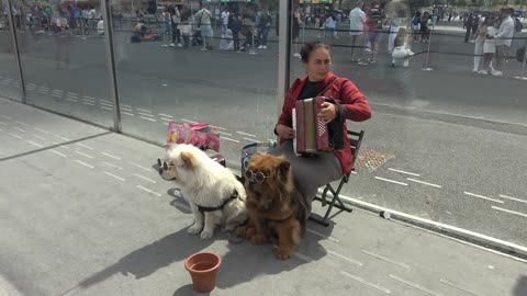 Lady Busker Eiffel Tower Paris. July 5th 2024