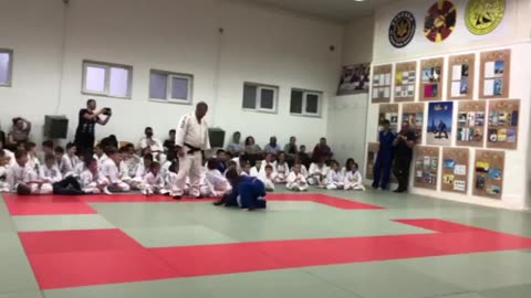 Judo referee