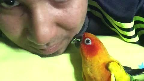 Human and parrot are dynamic beatboxing duo