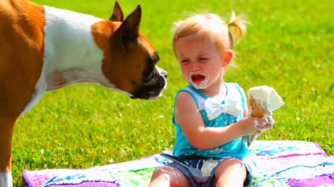 Boxer dog eats little girls ice cream cone and then