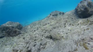 St. Kitts Snorkeling in swift currents