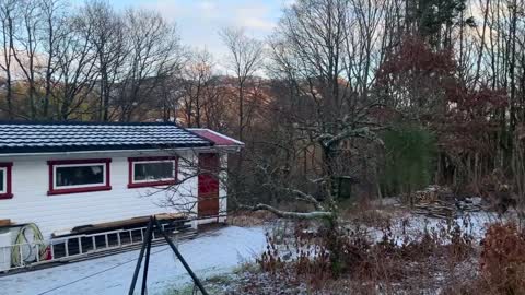 Eikely på Rosedal , Øvrabø , Hå nytt Dekratak