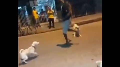 Man chasing a dog😂