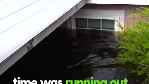 Dog Trapped On Floating Sofa For 7 Days Waits For Help | The Dodo