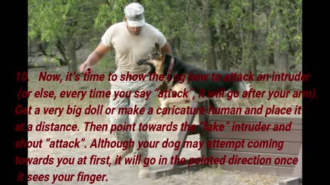 9 Guaranteed Ways to Train Your Dog to Attack on Command
