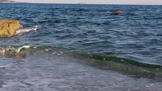 Late afternoon relax on the beach with amazing sea waves 🌊🏖️🏝️🌅