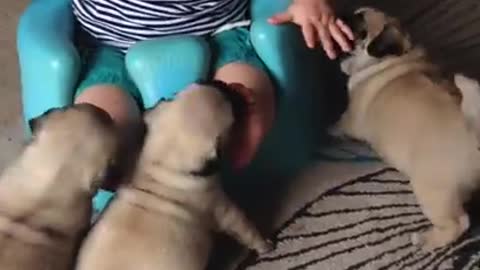 Baby play with puppy 😍
