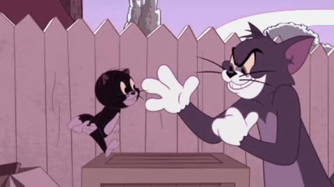 Tom and Jerry /funny vedio/@Entertain the world