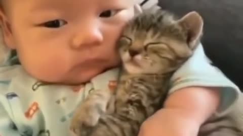 Cute cat and Bay lovely video