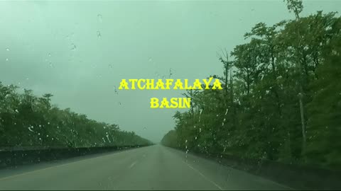 Driving through a thunderstorm in a swamp